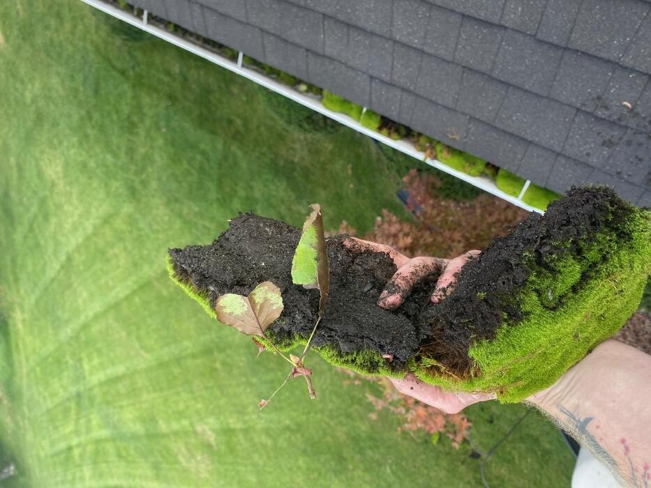 Images Jarhead Home Services LLC