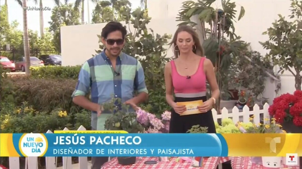 Images Jesus Pacheco Landscape and Interior Design Studio