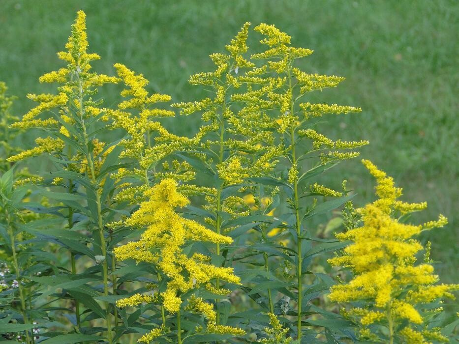 Images James Thomas Heating & Cooling