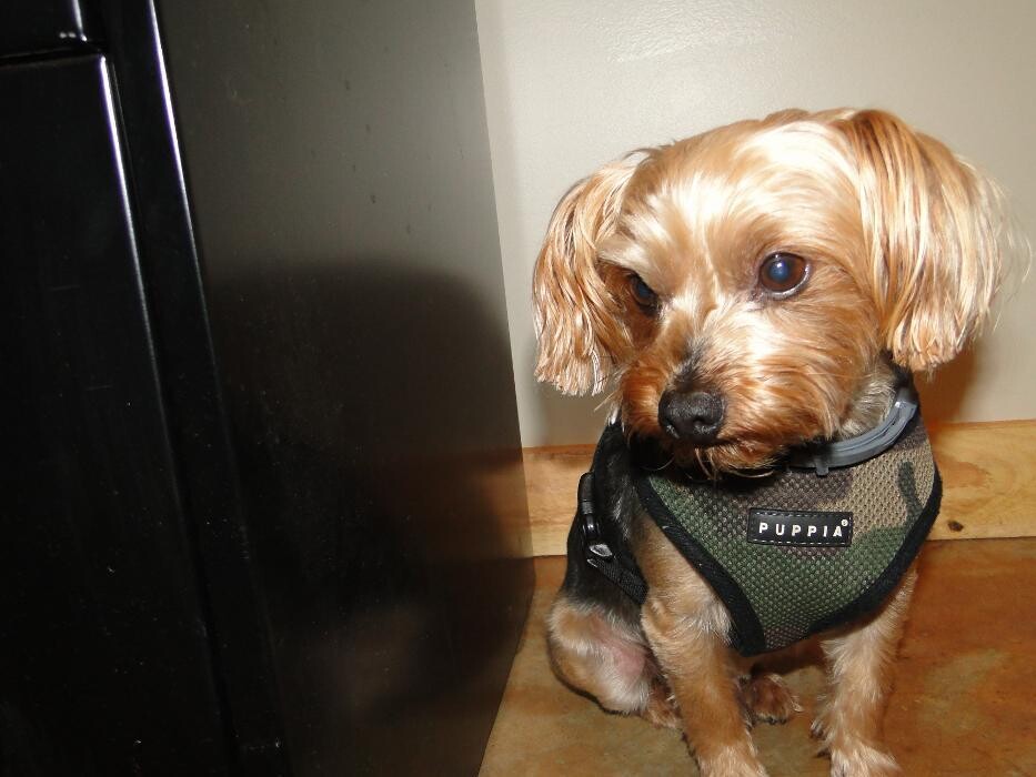 Images James Thomas Heating & Cooling