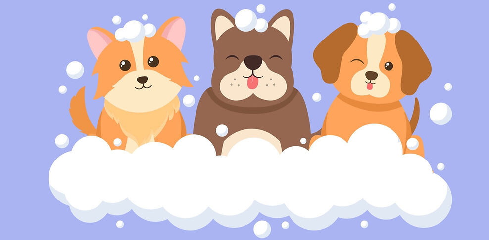 That's The Floof Logo