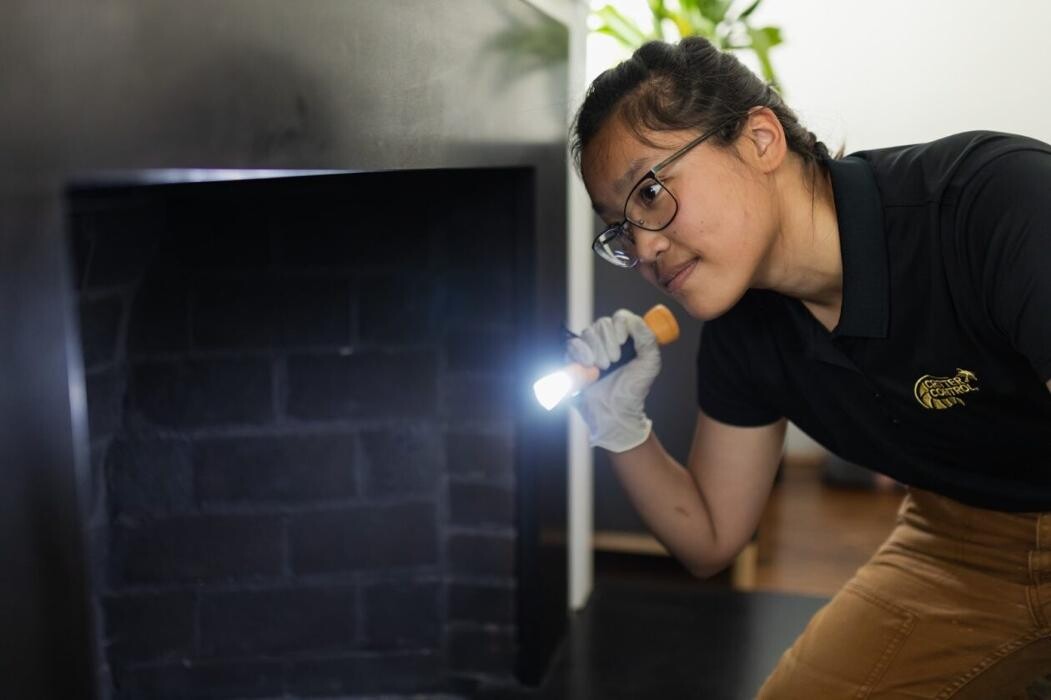 Images Critter Control