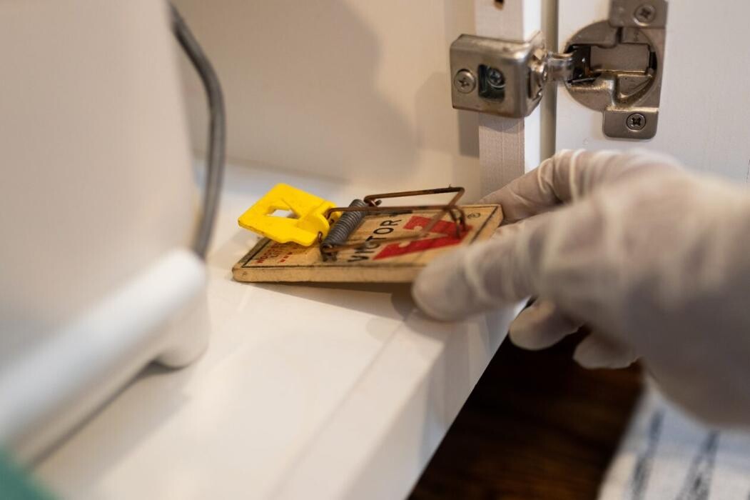 Images Critter Control