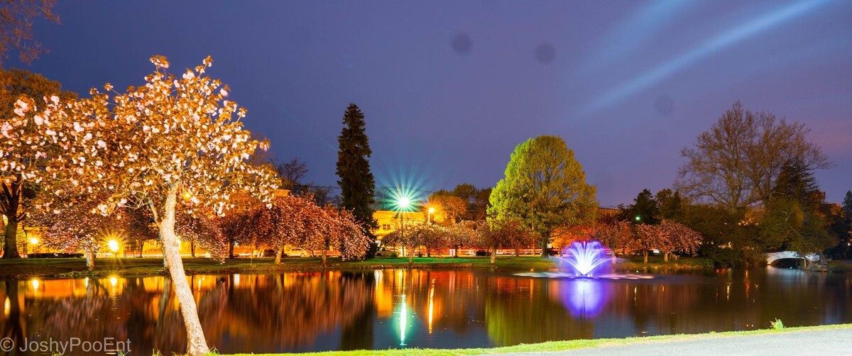 Images Pixel Peek Photography LLC