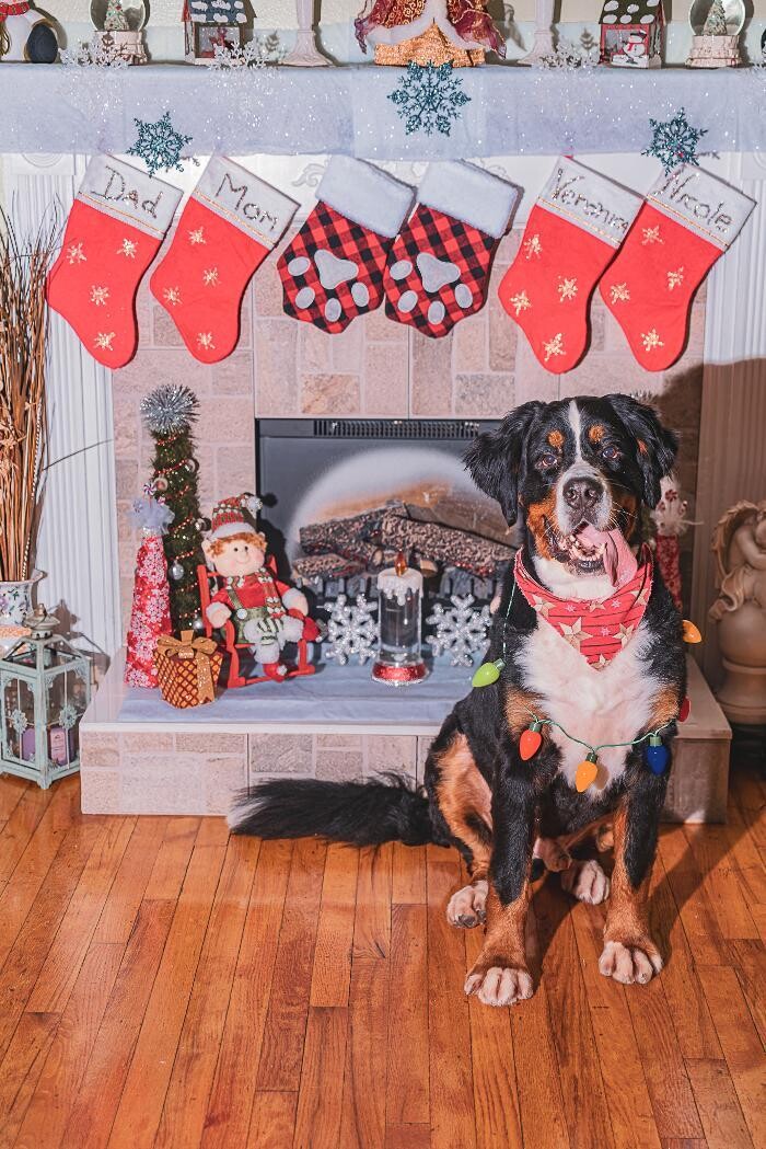 Images Pixel Peek Photography LLC