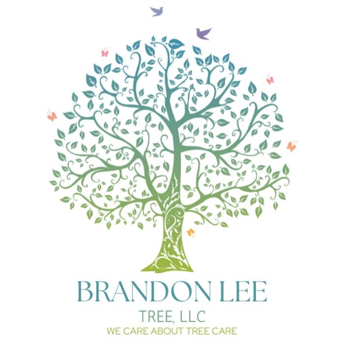 Images Brandon Lee Tree, LLC.