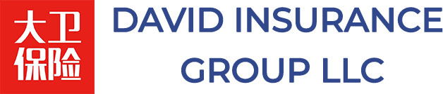 David Insurance Group Logo