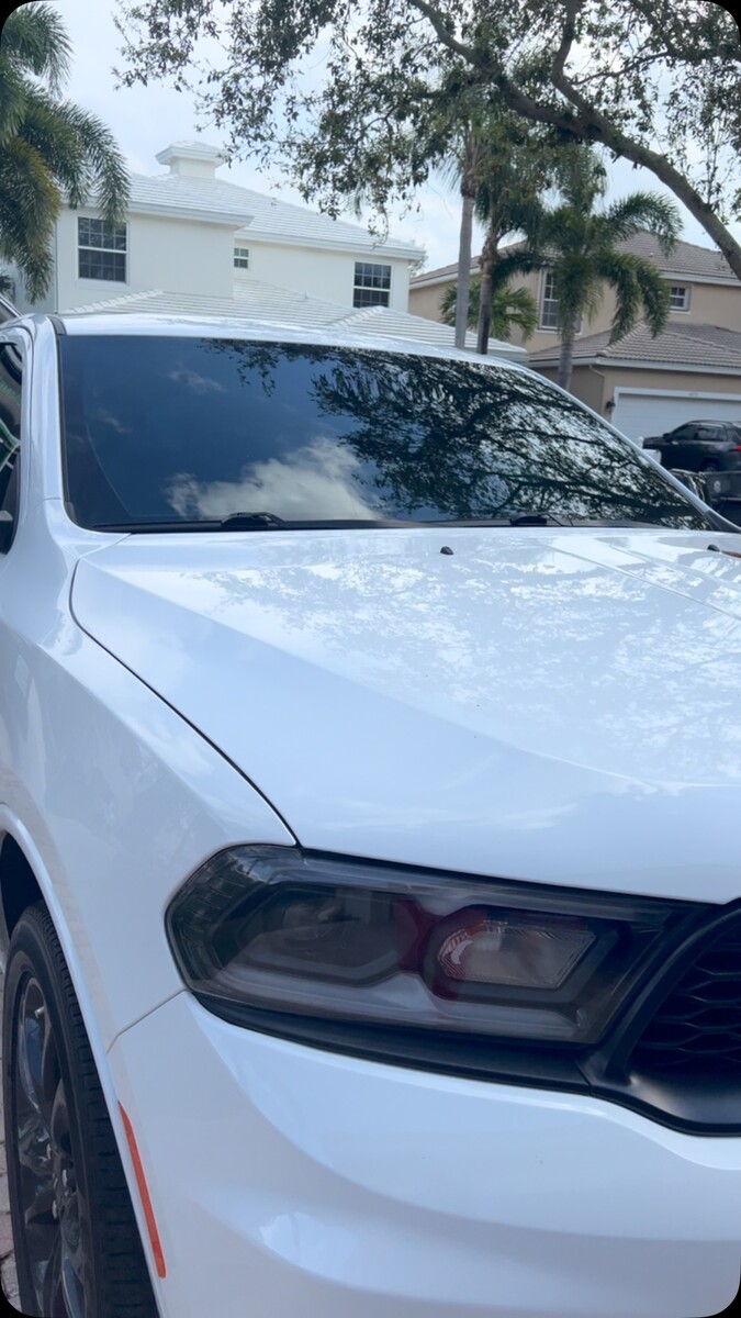 Images Trusted Tint & Shield