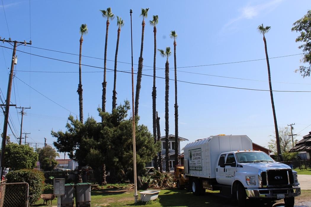 Images Gutierrez & Sons Tree Services and Landscaping