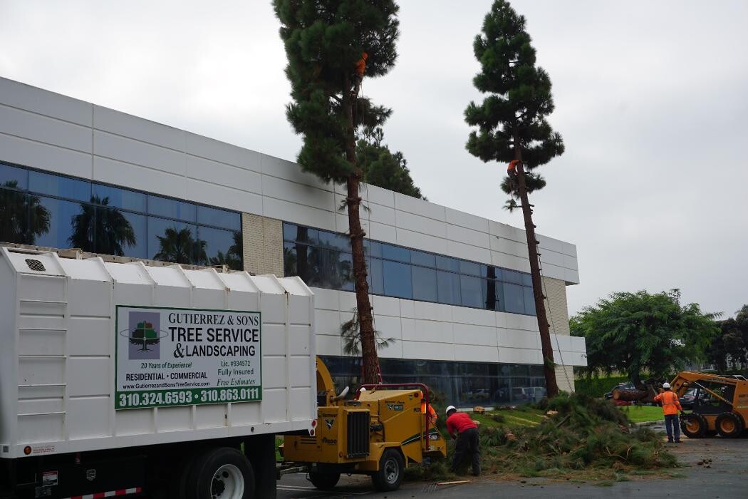 Images Gutierrez & Sons Tree Services and Landscaping