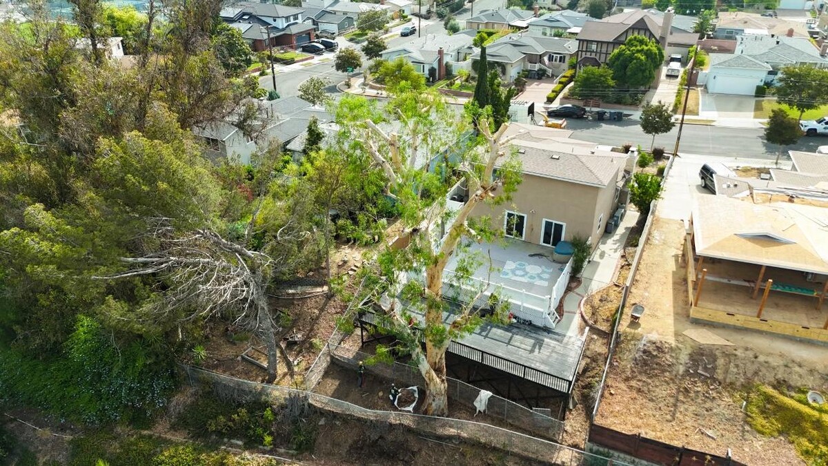 Images Gutierrez & Sons Tree Services and Landscaping