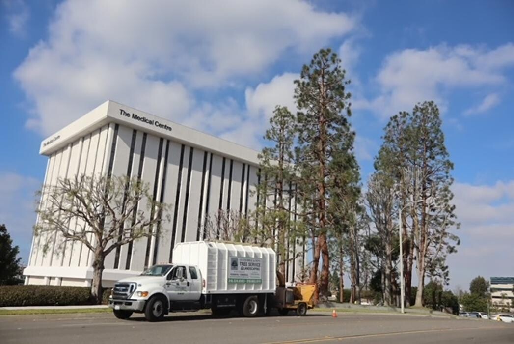 Images Gutierrez & Sons Tree Services and Landscaping