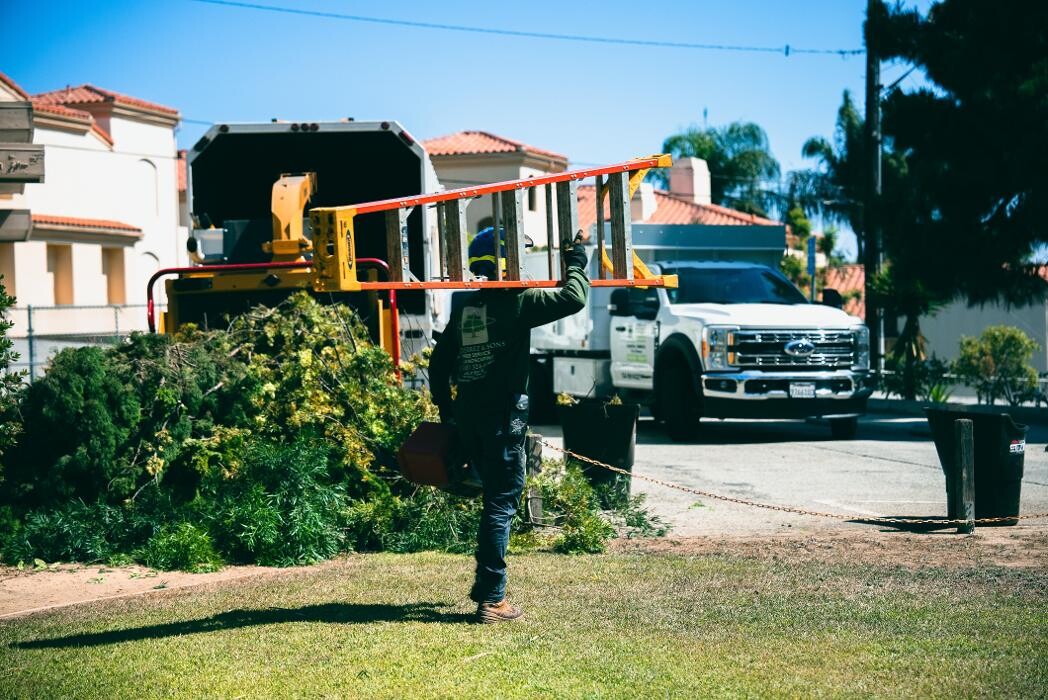 Images Gutierrez & Sons Tree Services and Landscaping