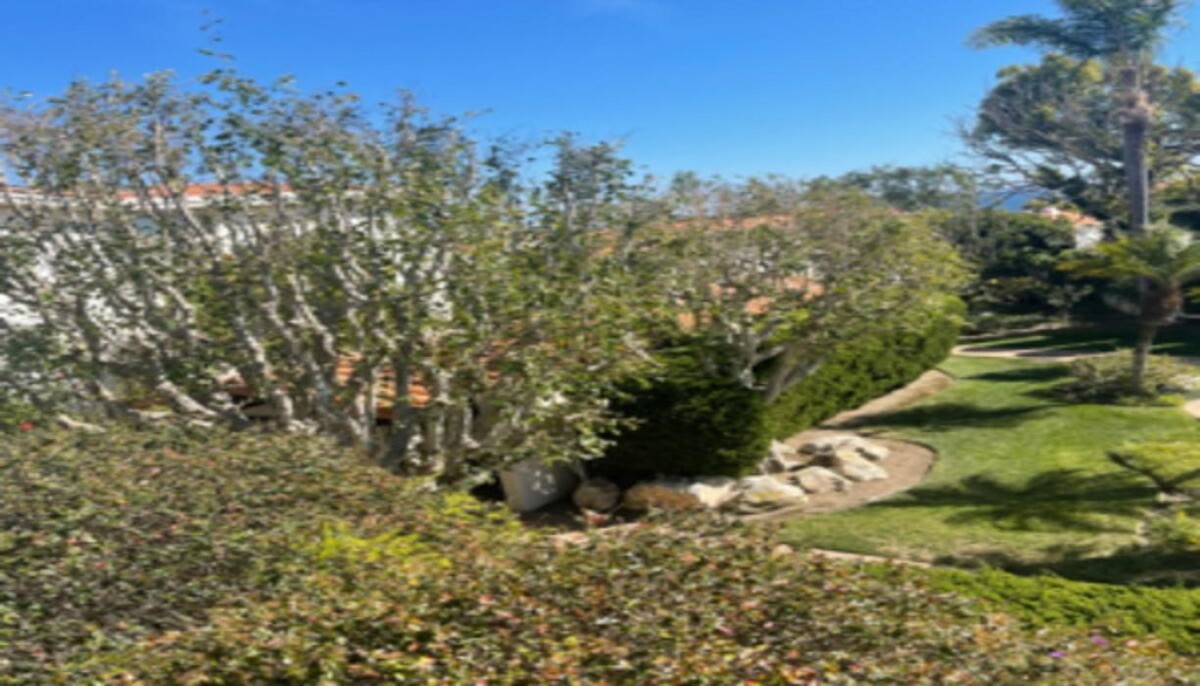 Images Gutierrez & Sons Tree Services and Landscaping