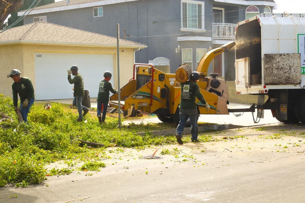 Images Gutierrez & Sons Tree Services and Landscaping