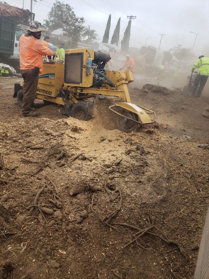 Images Gutierrez & Sons Tree Services and Landscaping