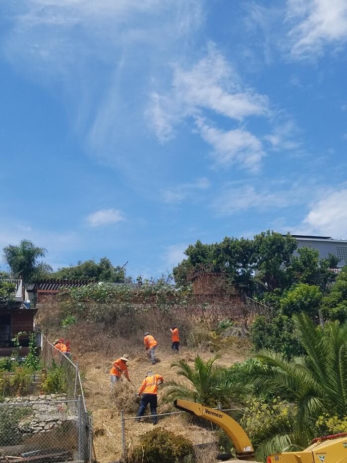 Images Gutierrez & Sons Tree Services and Landscaping
