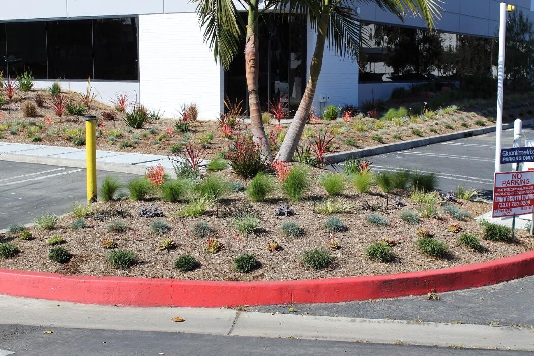 Images Gutierrez & Sons Tree Services and Landscaping