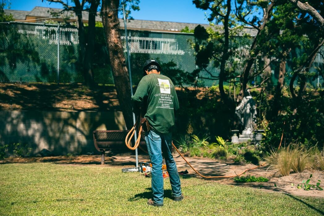 Images Gutierrez & Sons Tree Services and Landscaping