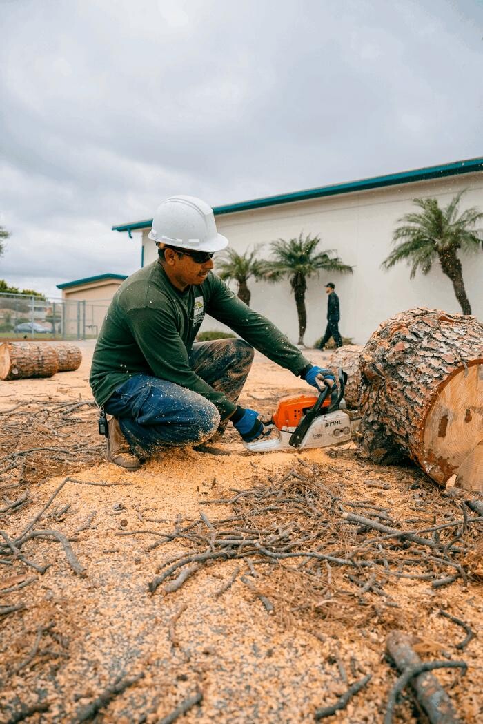 Images Gutierrez & Sons Tree Services and Landscaping
