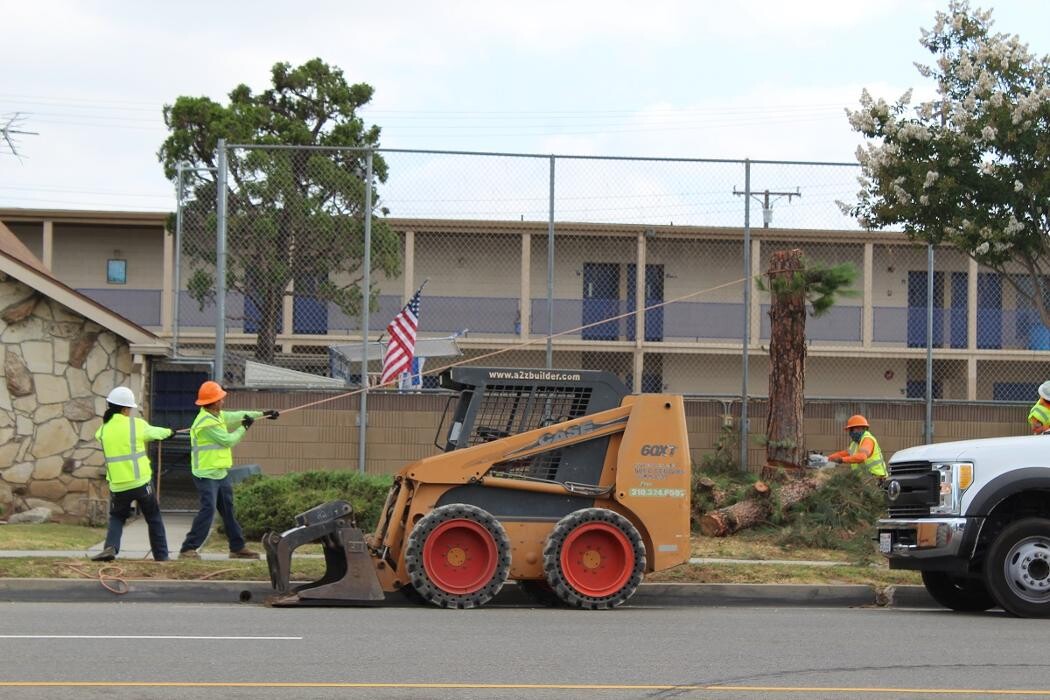 Images Gutierrez & Sons Tree Services and Landscaping