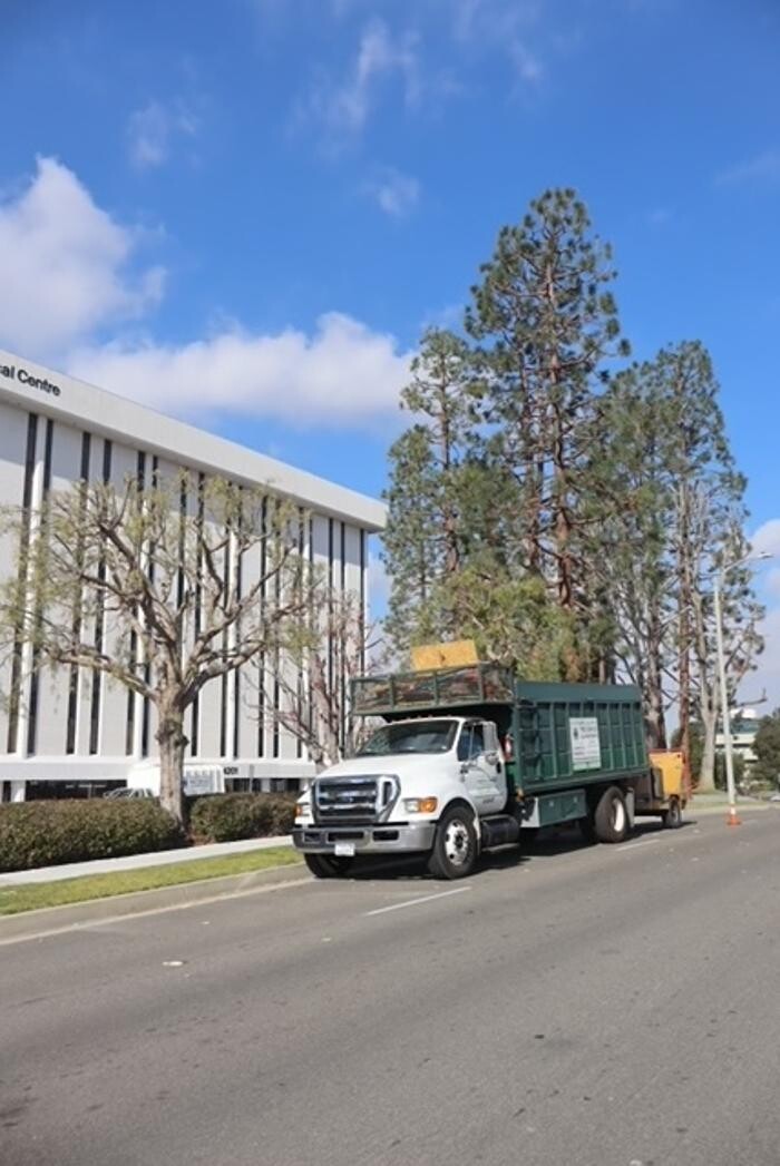 Images Gutierrez & Sons Tree Services and Landscaping