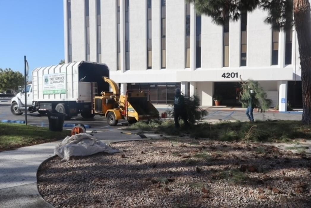 Images Gutierrez & Sons Tree Services and Landscaping