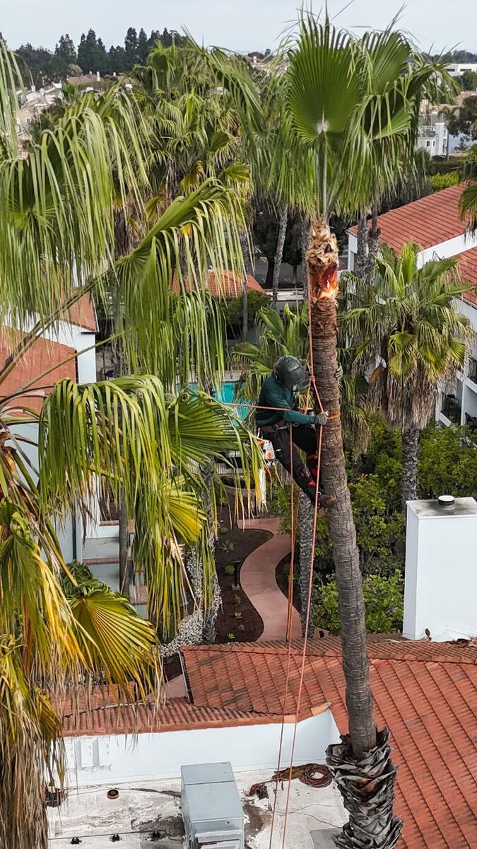 Images Gutierrez & Sons Tree Services and Landscaping