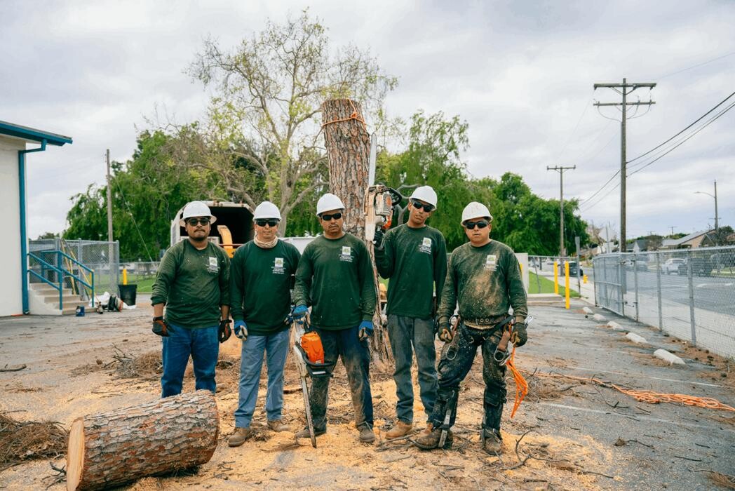 Images Gutierrez & Sons Tree Services and Landscaping