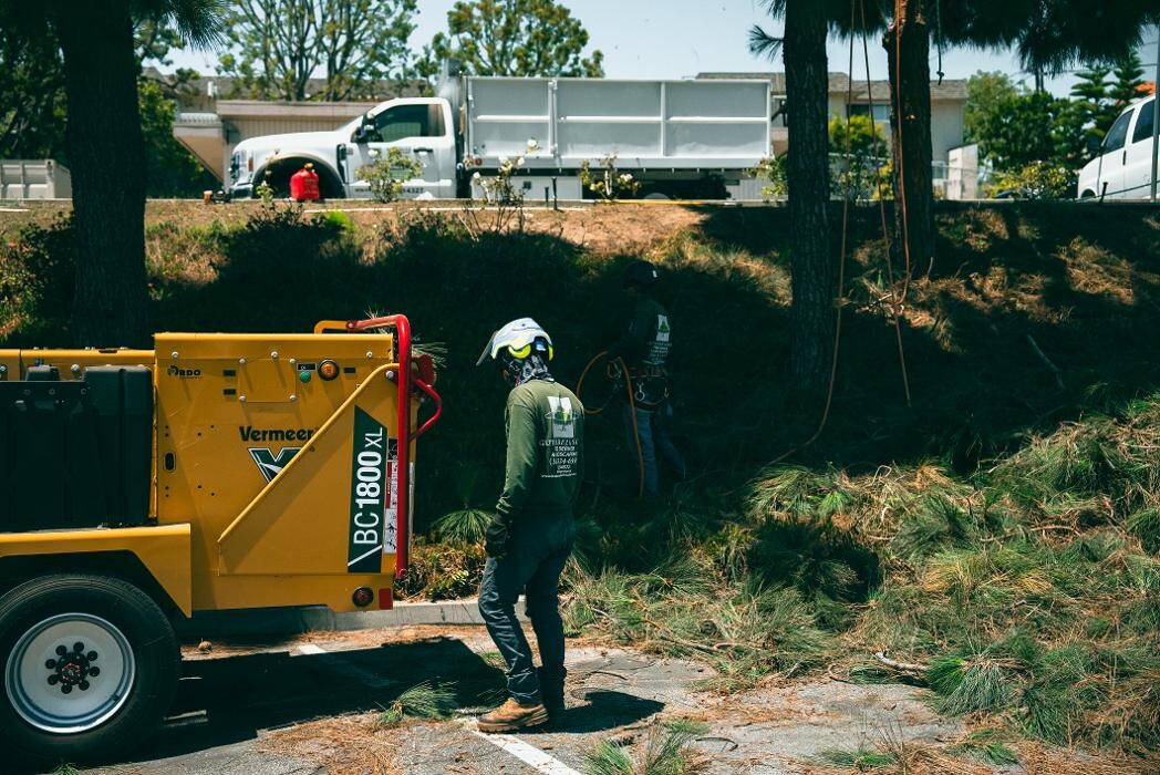 Images Gutierrez & Sons Tree Services and Landscaping