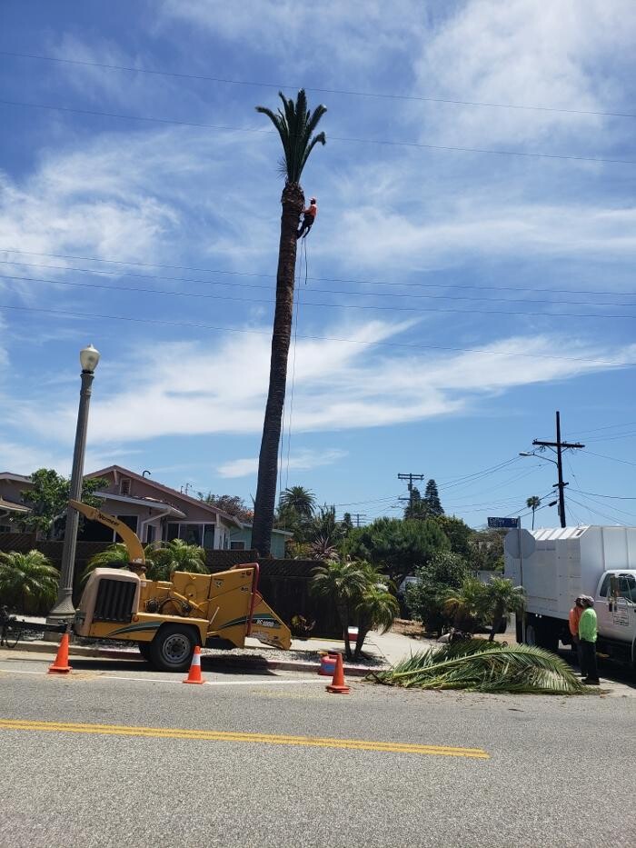 Images Gutierrez & Sons Tree Services and Landscaping