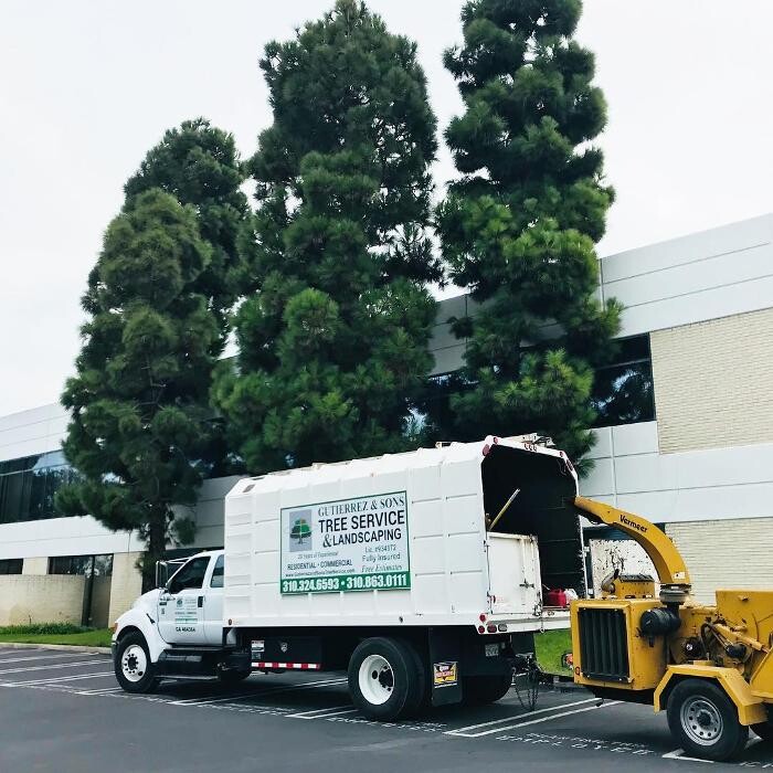 Images Gutierrez & Sons Tree Services and Landscaping