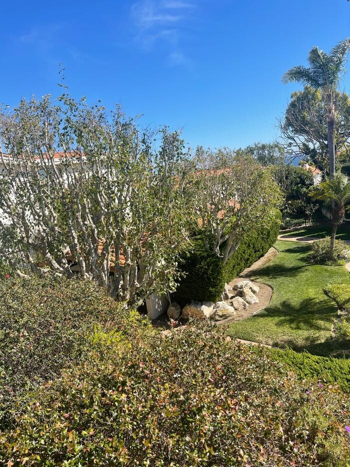 Images Gutierrez & Sons Tree Services and Landscaping