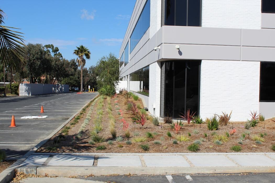 Images Gutierrez & Sons Tree Services and Landscaping