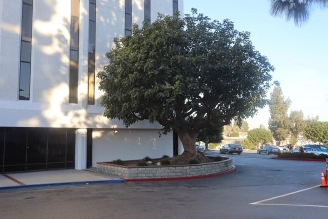 Images Gutierrez & Sons Tree Services and Landscaping