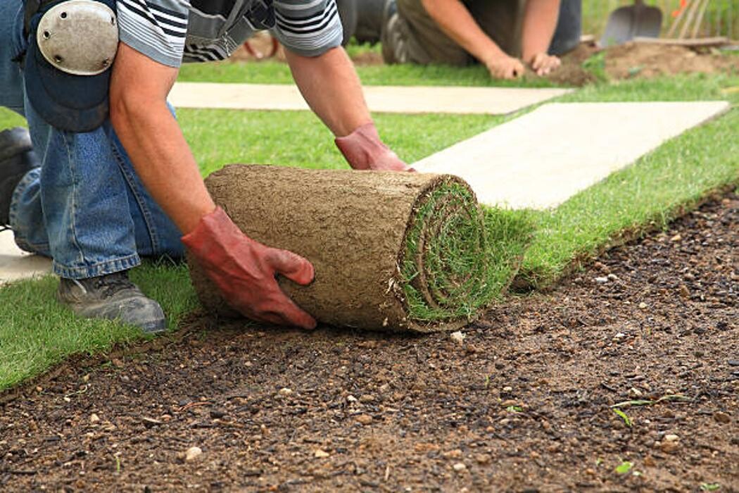 Images Gutierrez & Sons Tree Services and Landscaping