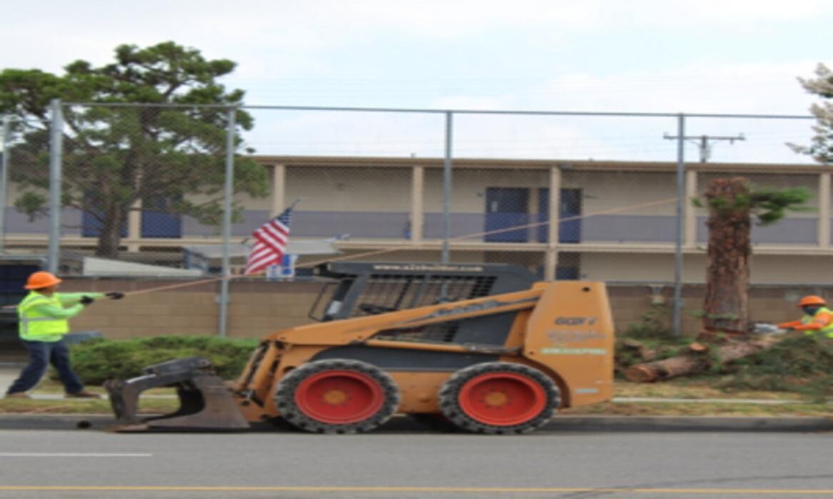 Images Gutierrez & Sons Tree Services and Landscaping