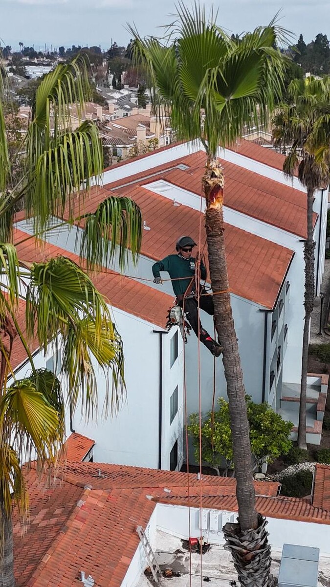 Images Gutierrez & Sons Tree Services and Landscaping