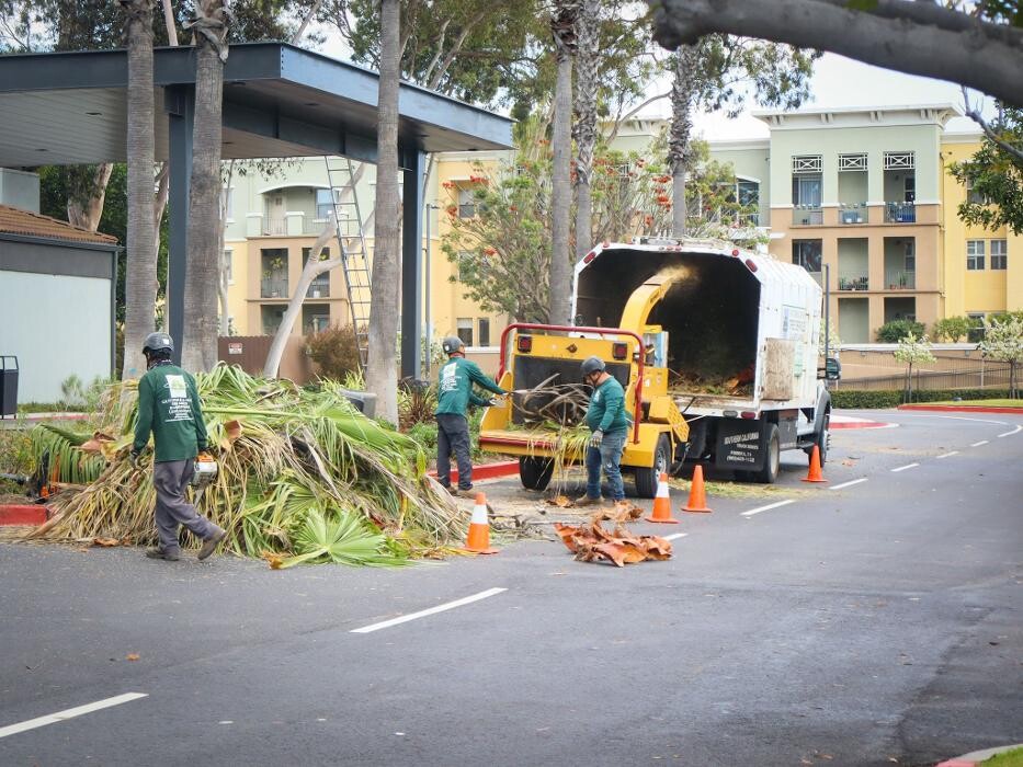 Images Gutierrez & Sons Tree Services and Landscaping