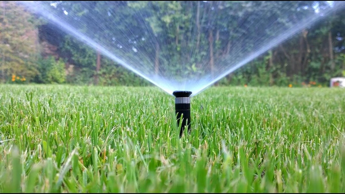 Images Gutierrez & Sons Tree Services and Landscaping