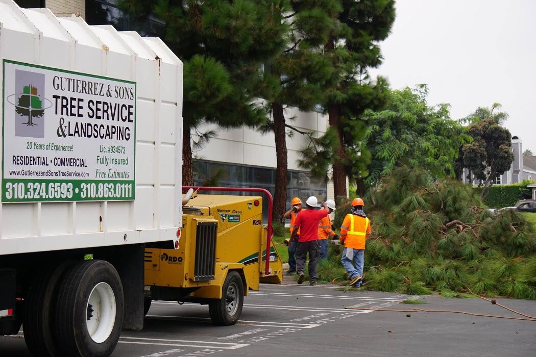 Images Gutierrez & Sons Tree Services and Landscaping