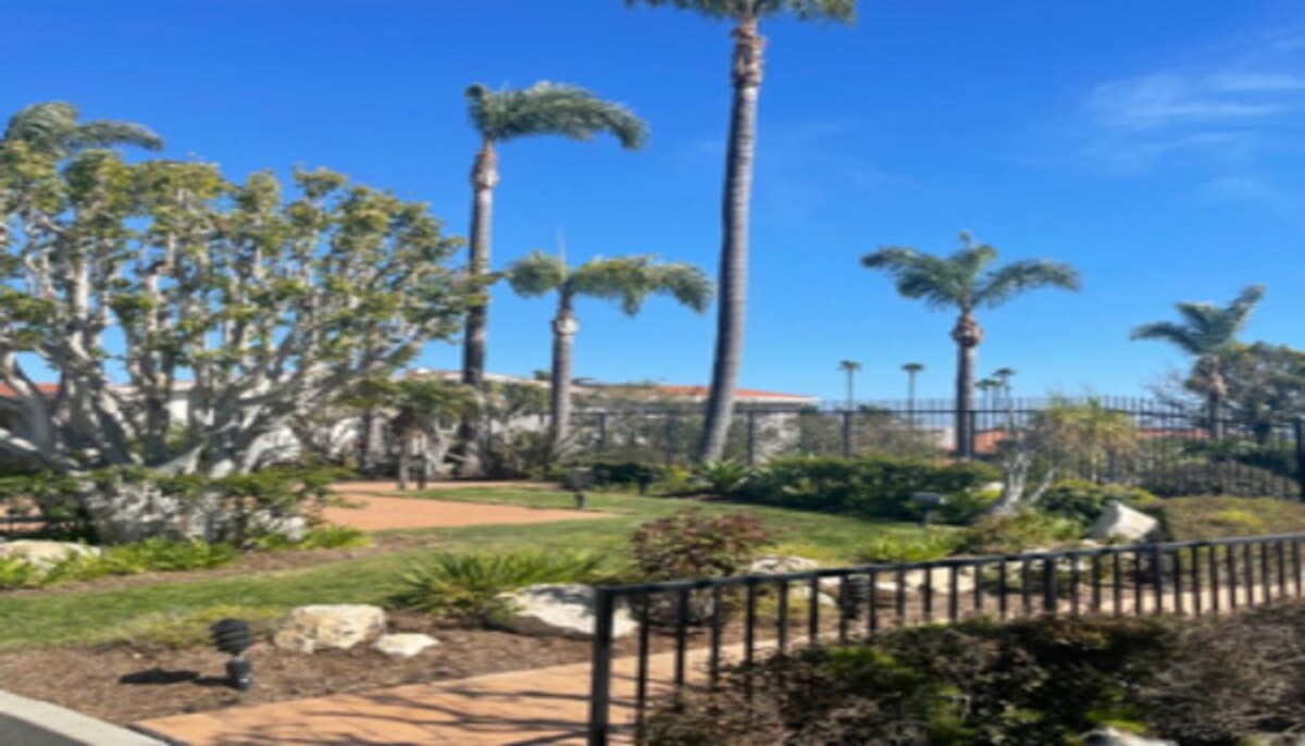 Images Gutierrez & Sons Tree Services and Landscaping