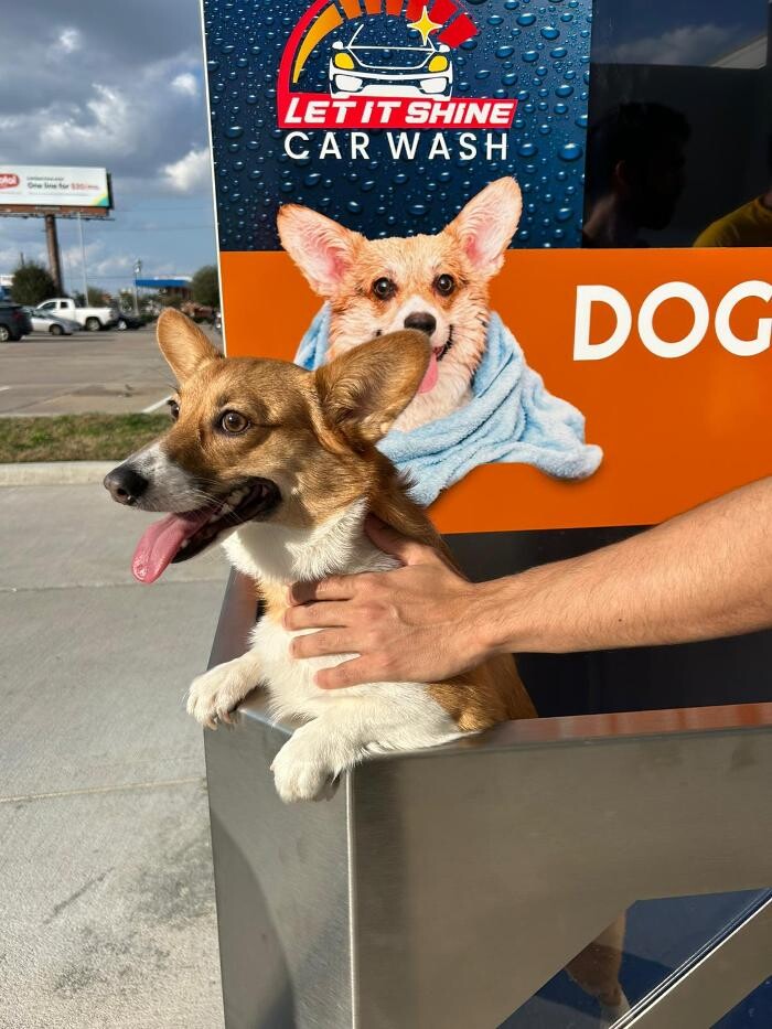 Images Let It Shine Car Wash