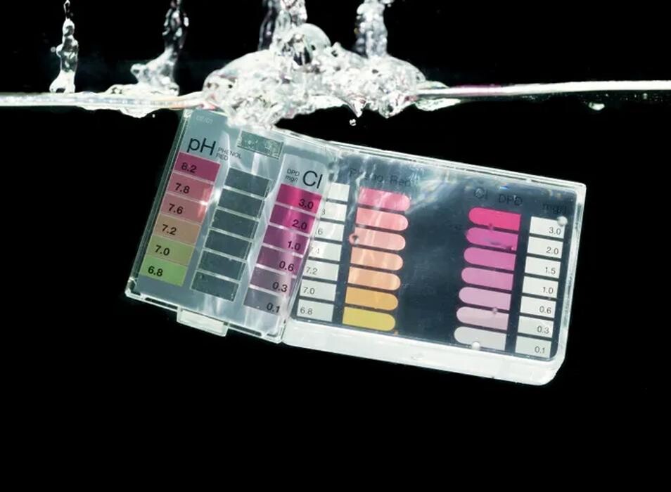 Images Pool Scientist