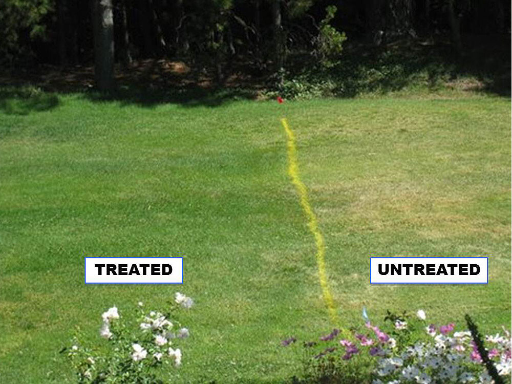 Images Parrish Lawn Service