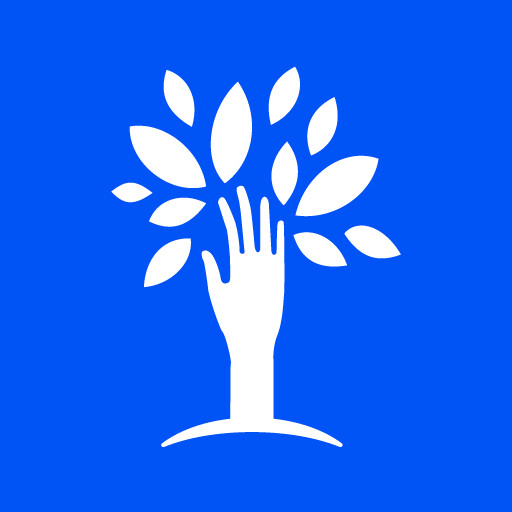Limitless Strategies Logo