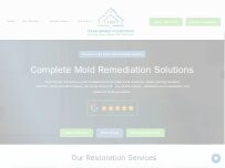 Website Screenshot Team Home Solutions - Restoration Pros