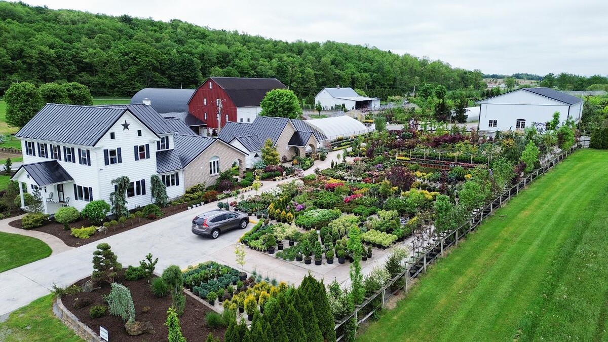 Images Bloomfield Nursery