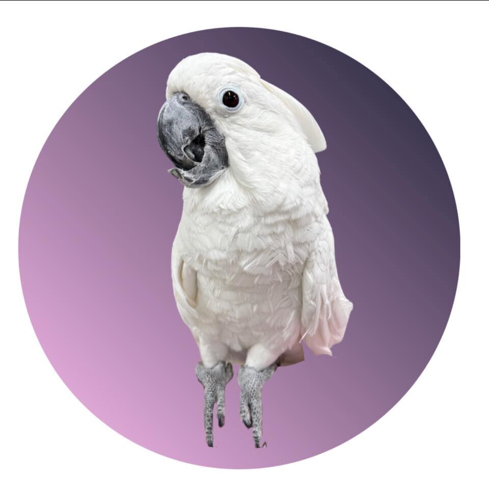 Chadwell Animal Hospital Logo