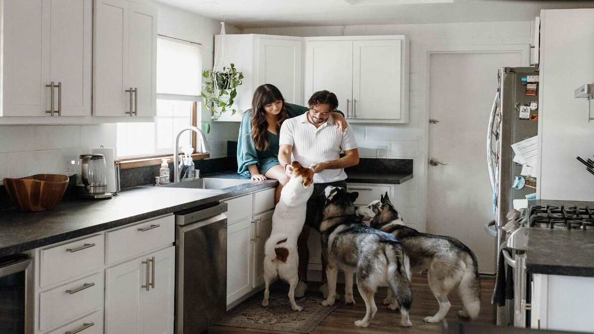 Images Feels Like Home: Dog Care